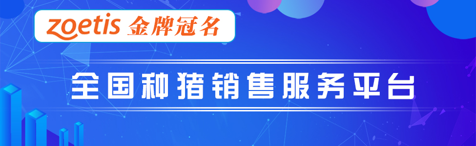 全国种猪销售服务平台