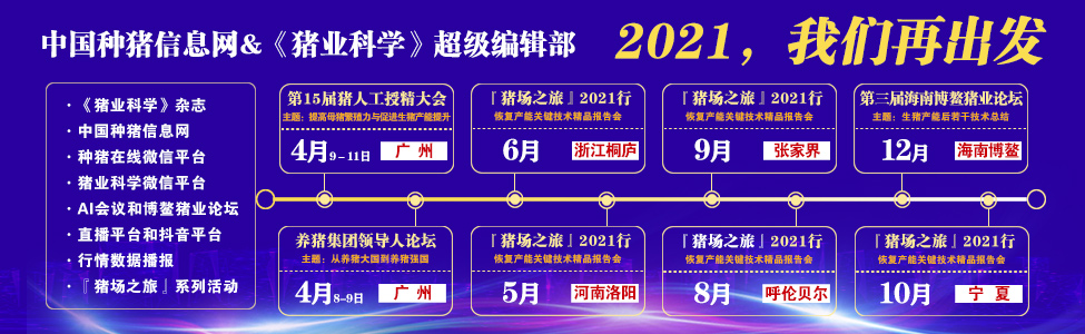 2020，满载收获，2021再出发